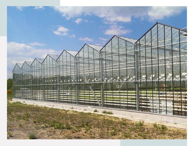 Строительство теплиц в Улан-Удэ от 615 руб. за м²