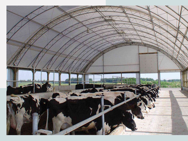 Тентовые коровники в Улан-Удэ